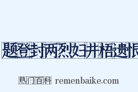 题登封两烈妇井梧遗恨是什么意思的图片